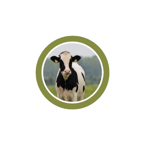 Dairy Manager Logo